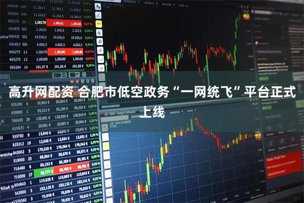 高升网配资 合肥市低空政务“一网统飞”平台正式上线