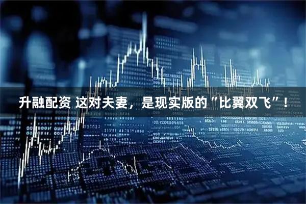 升融配资 这对夫妻，是现实版的“比翼双飞”！