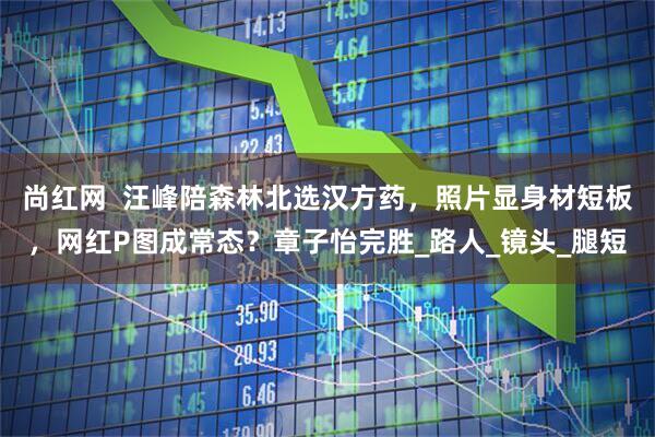 尚红网  汪峰陪森林北选汉方药，照片显身材短板，网红P图成常态？章子怡完胜_路人_镜头_腿短